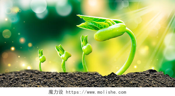 绿色唯美发芽的植物海报展板背景